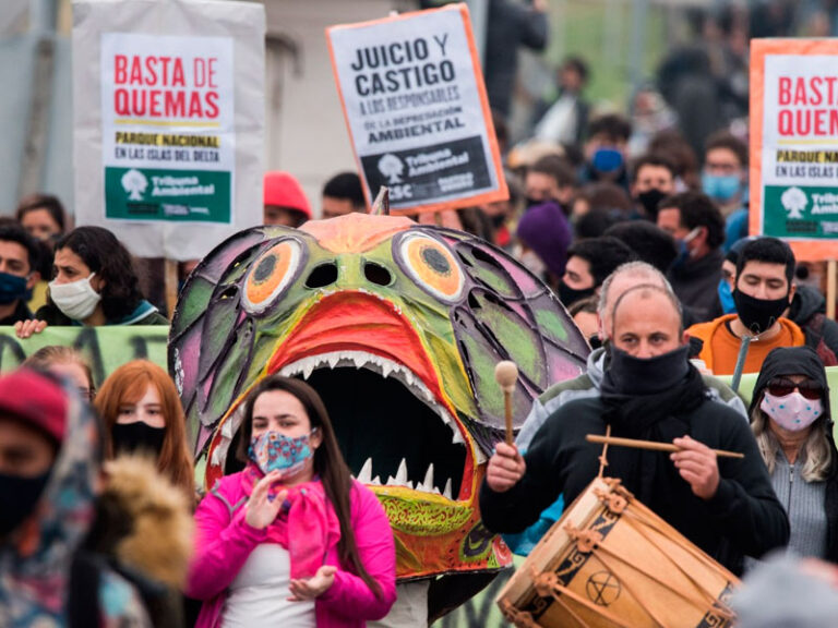 Fuego es inicio: la Multisectorial por los Humedales planta, marcha y viaja a Santa Fe y Paraná