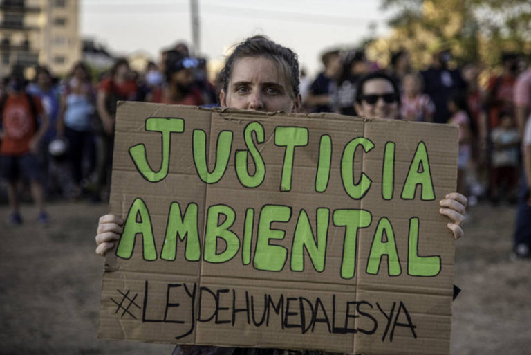 Delta del Paraná: la Justicia devuelve a Rosario 800 hectáreas de humedales Delta del Paraná: la Justicia devuelve a Rosario 800 hectáreas de humedales