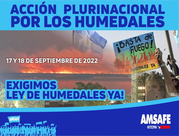 AMSAFE se suma a las protestas y acciones ante el ECOCIDIO en los humedales