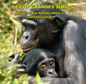 La larga lucha por la Ley de Grandes Simios