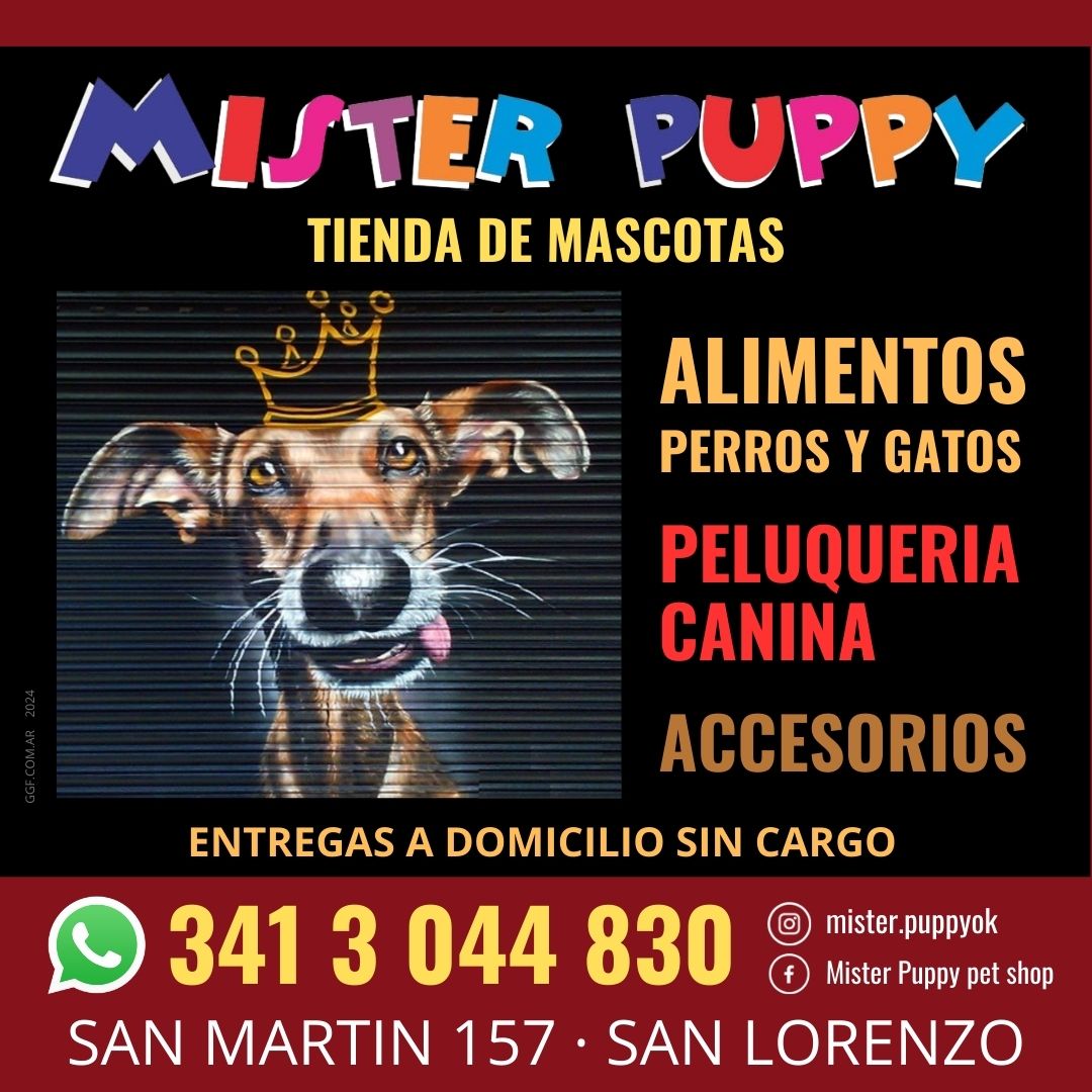 FLYER MISTER PUPPY GGF 2024-3 REDES