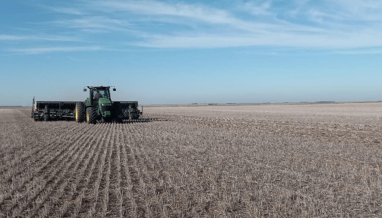 Comenzó la siembra de trigo: desde el Gobierno, proyectan un aumento del 6,2%