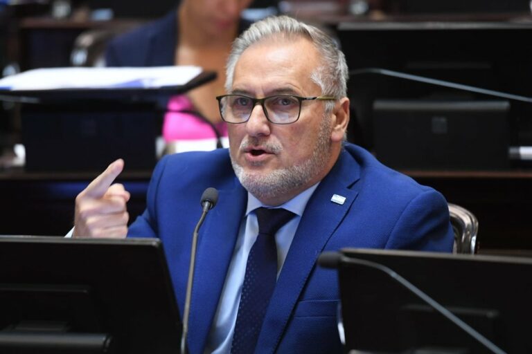 Lewandowski: «Esta reforma laboral no moderniza, precariza» Lewandowski: «Esta reforma laboral no moderniza, precariza»